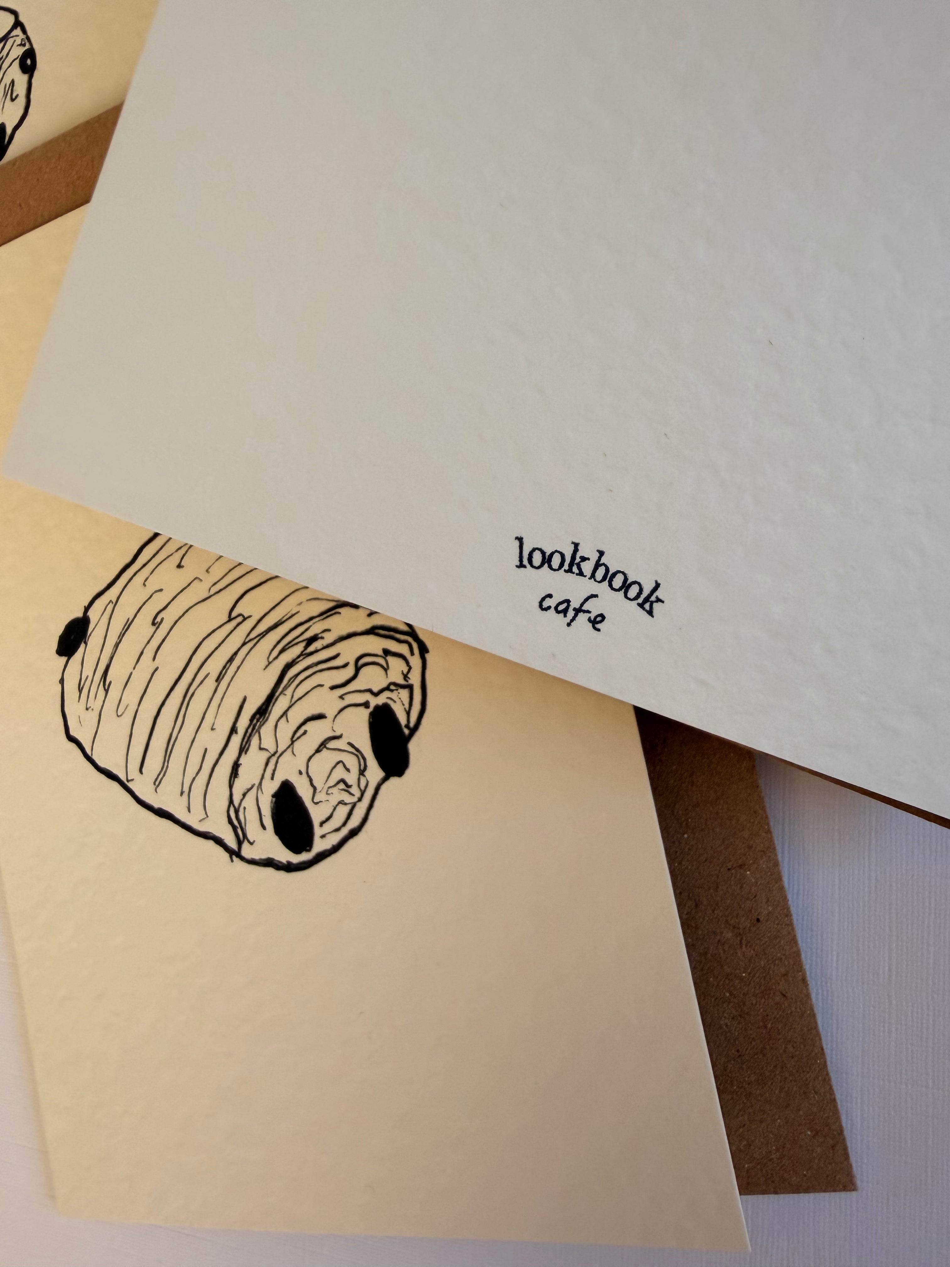 Pain Au Chocolat (Set of 5)